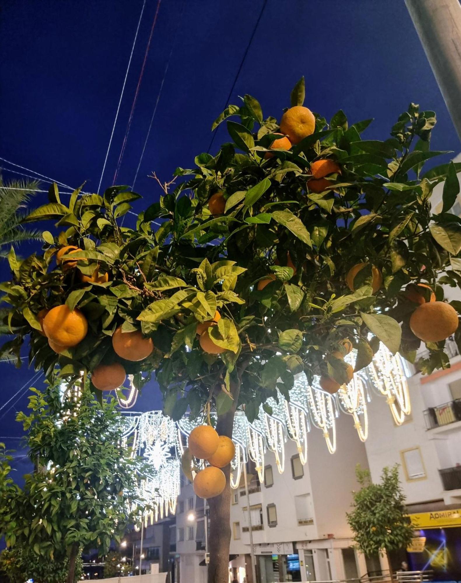 Luxury Blue Coast Seaside Retreat Marbellaアパートメント 部屋 写真